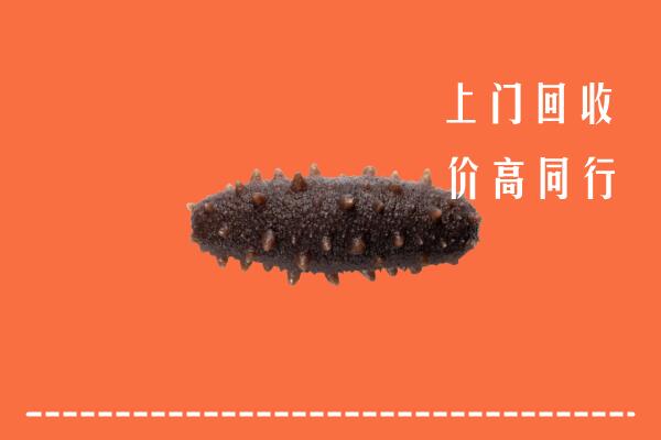 丹东回收海参