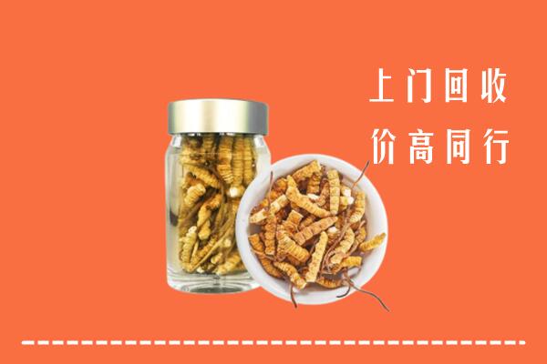 丹东回收冬虫夏草
